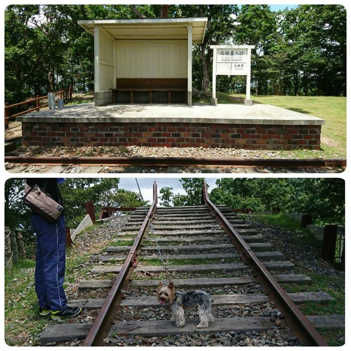 42c06a20 7051 4b0c 9a5d ceecc42ab537 1562475292977