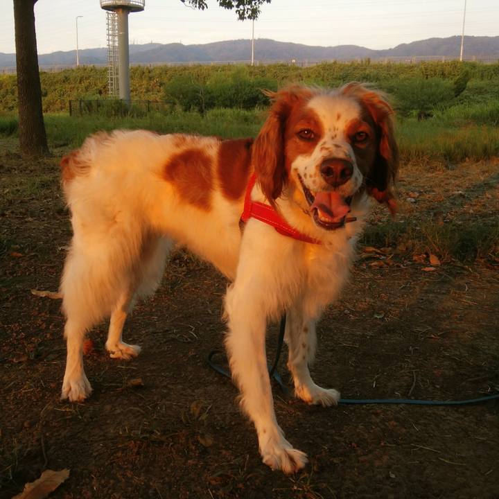 42c0a469 0a12 4752 b6b0 3d73b05ea57b 1535544806019