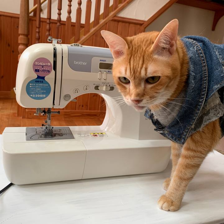 42c0f471 aa1d 4ba1 8cd1 25c000a2dd41 1656984054431