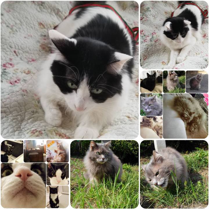 42c10076 33b0 4324 a41a 93e16fe87093 1555923877303