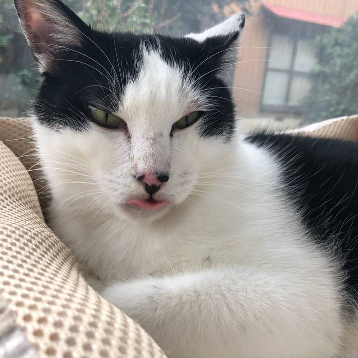 42c10522 d7a4 4ef8 84cd c4067f1e0460 1571106589960