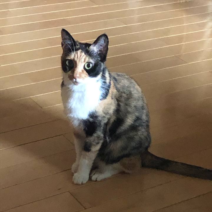 42c11ecd db01 4932 a07d a72d2a45586e 1562970328026