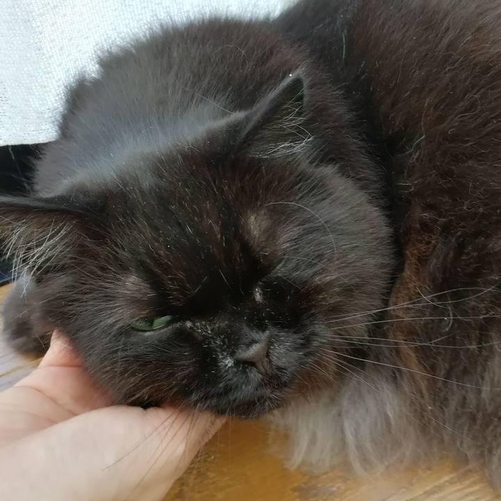 42c13884 2bba 4547 907e 7348f88b991d 1535859672948