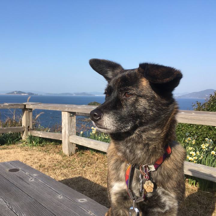 42c15343 fd18 4c8e 9427 62270aef6eb4 1515411631936