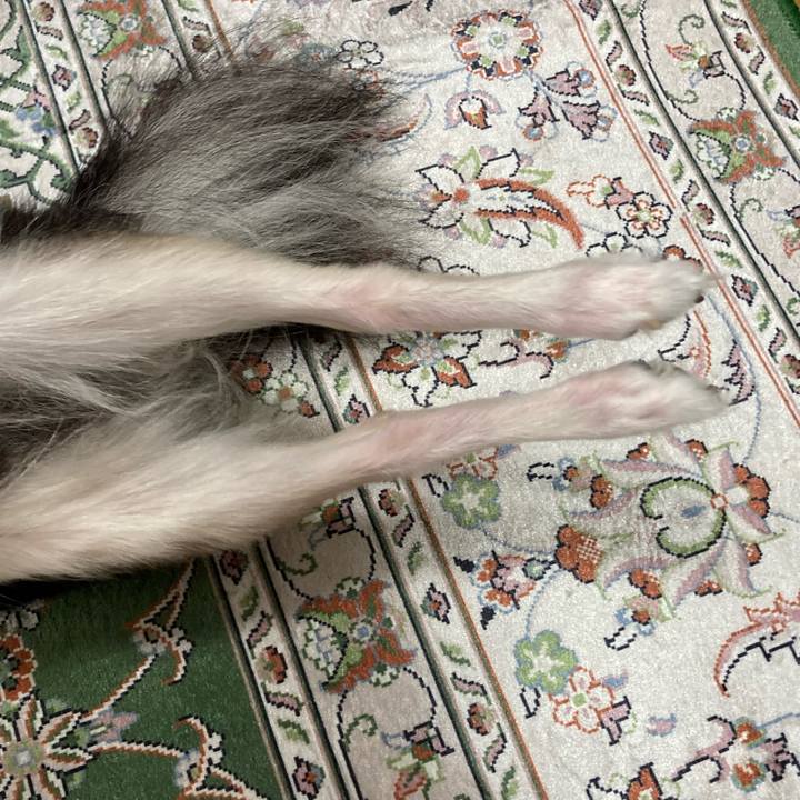 42c16522 1461 4bc9 8558 9c084f1a3827 1664019495073