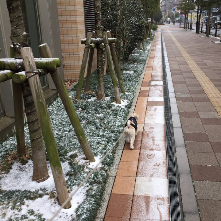 42c1cc16 5dc7 45fa 94e3 48d1c414cfe7 1549697427912