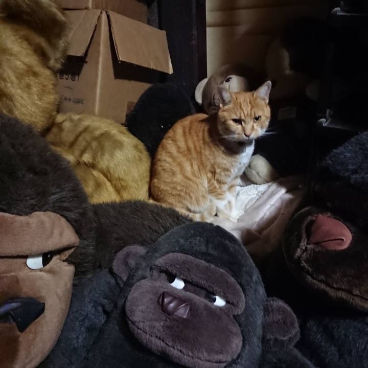 42c1db45 0cc2 4b47 8667 ef459a24c2de 1605609617061