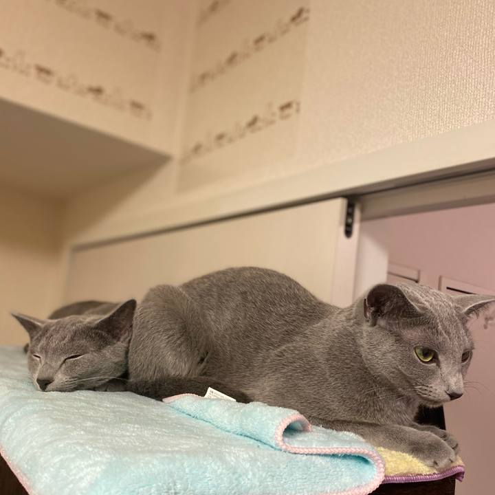 42c1e7db 803d 49b3 b4d4 45a9581058a2 1624448669845