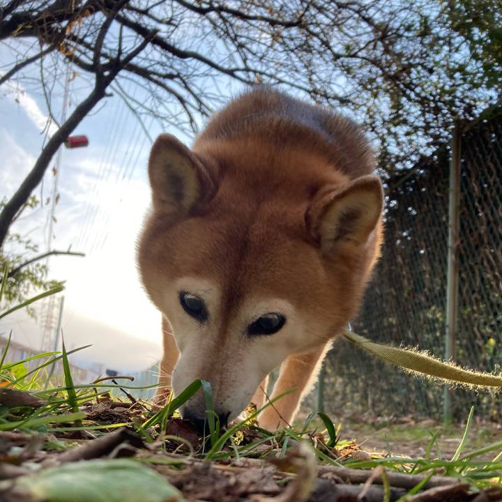 42c1fbda 6647 44d1 982d 8d5e3000a6a9 1707637796539