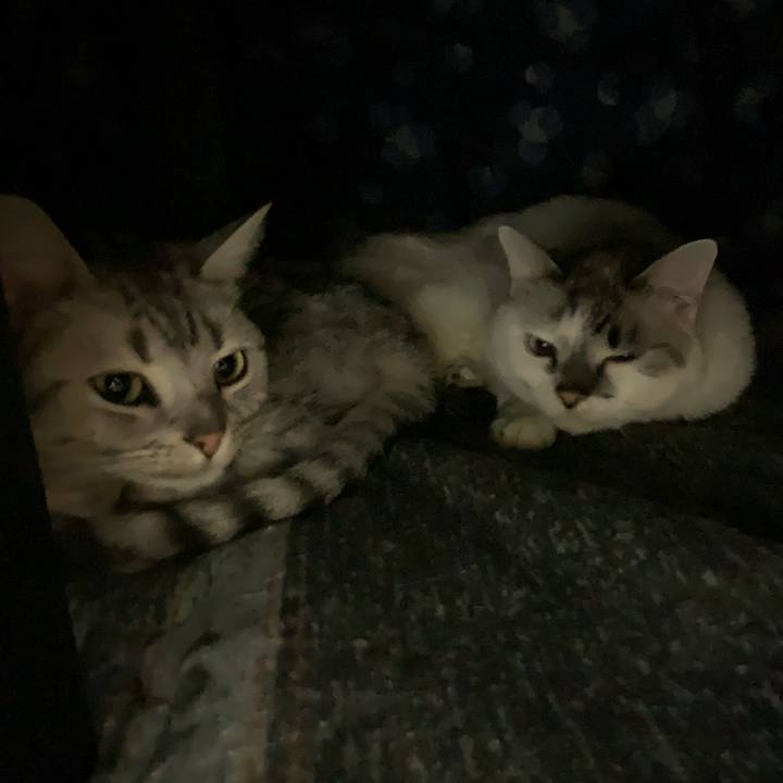 42c20dc5 b710 4986 9958 e12fb110fda8 1578111040887