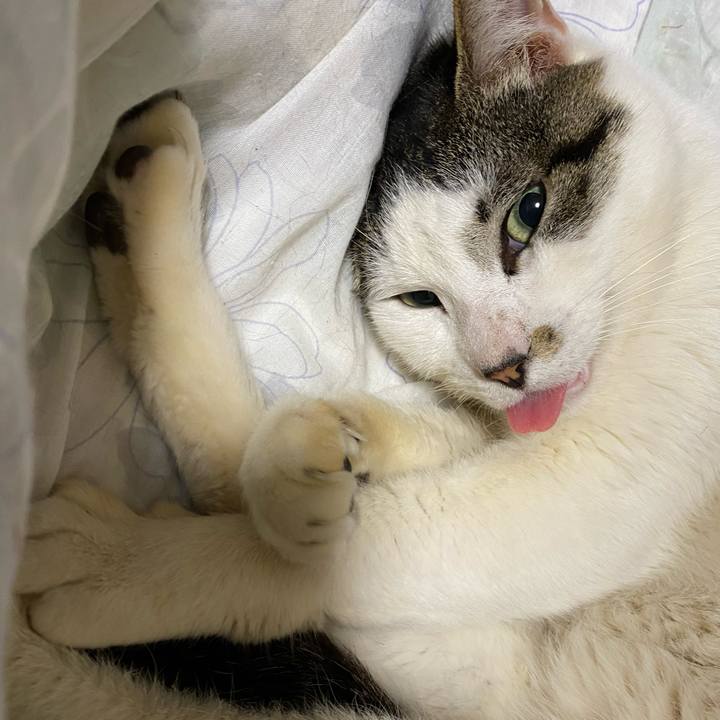 42c24765 7623 4d55 b7fe 70cbd26540ac 1651891465057