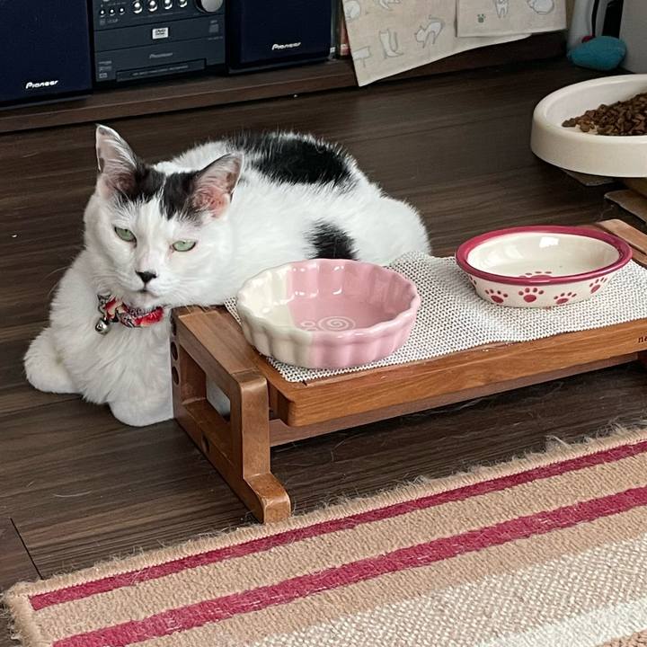 42c283e6 e429 4602 915d 60fa927a12dc 1718580818917