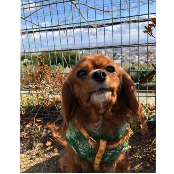 42c29af2 f330 497b 9733 ae67e42e7388 1548479707456