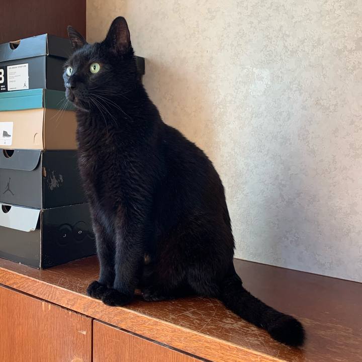 42c29de0 37d3 48af aaa6 07db0354195c 1589418112647