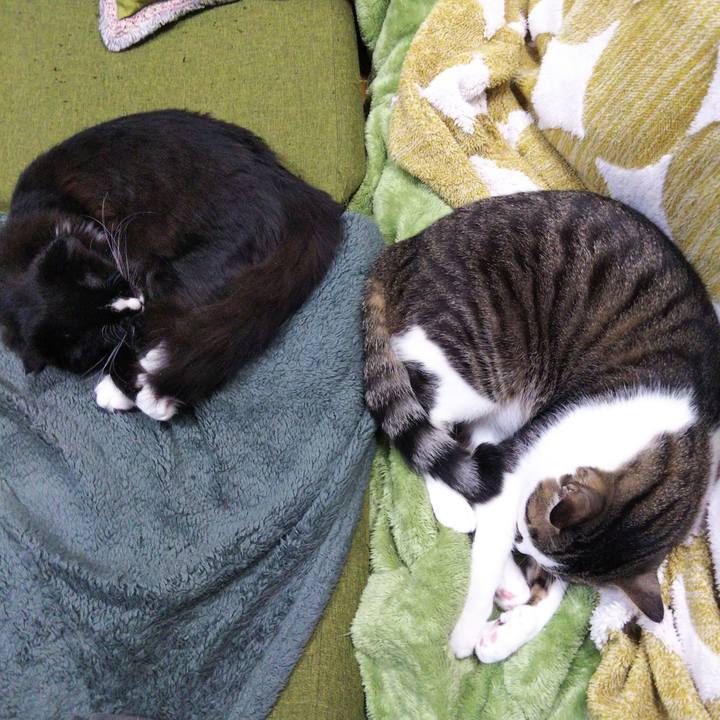 42c2acaf e958 4418 82a3 dc478d857af6 1647581015821