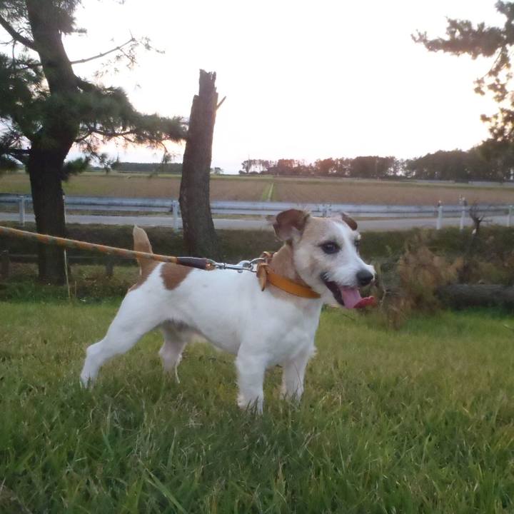 42c2fb90 9002 4178 bf83 bed508d1c93d 1540290985542