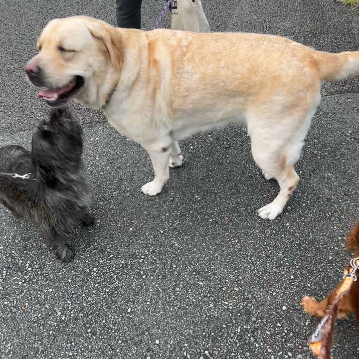 42c34523 a3f4 4260 8789 a3e9f4e69f5b 1660952651123