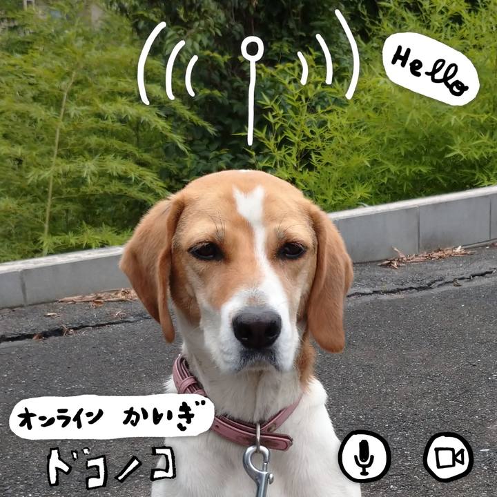 42c36cb4 7b3e 4e0d a20e a1b1e085e7f3 1593159790204