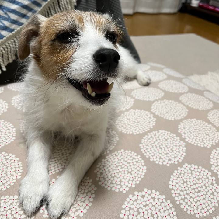 42c3a370 e54a 41e0 be02 ecc170a1ff68 1736505938853