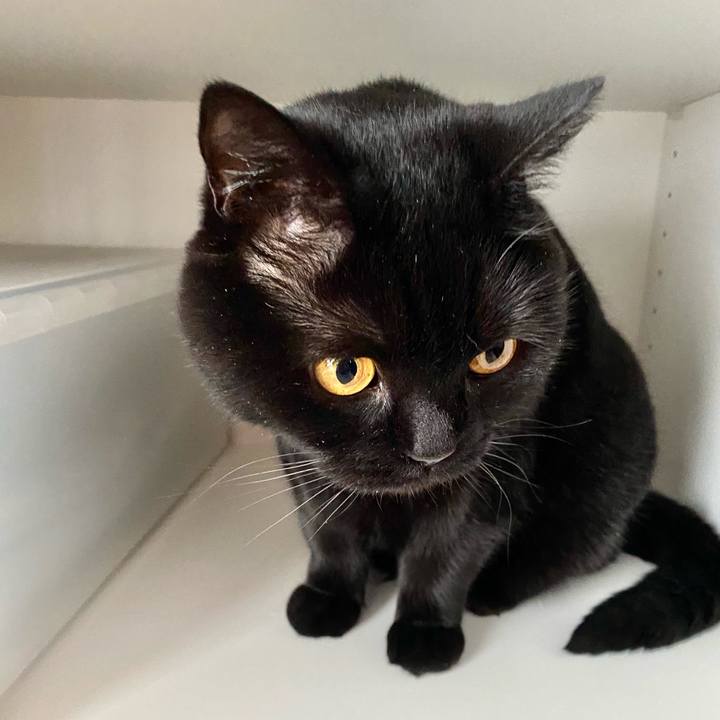 42c3cffa 2f99 4e8b 9cfe 0aaed2edf8ce 1651706937409