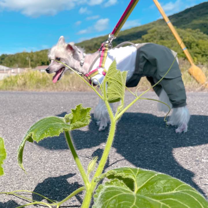 42c3e0b1 22f2 41db 9b5a 4b424fb98c69 1759724620010