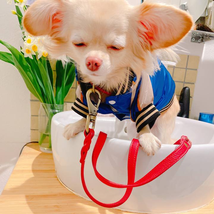 42c4053b f526 48bf 80d3 8e3f86316429 1640084251761