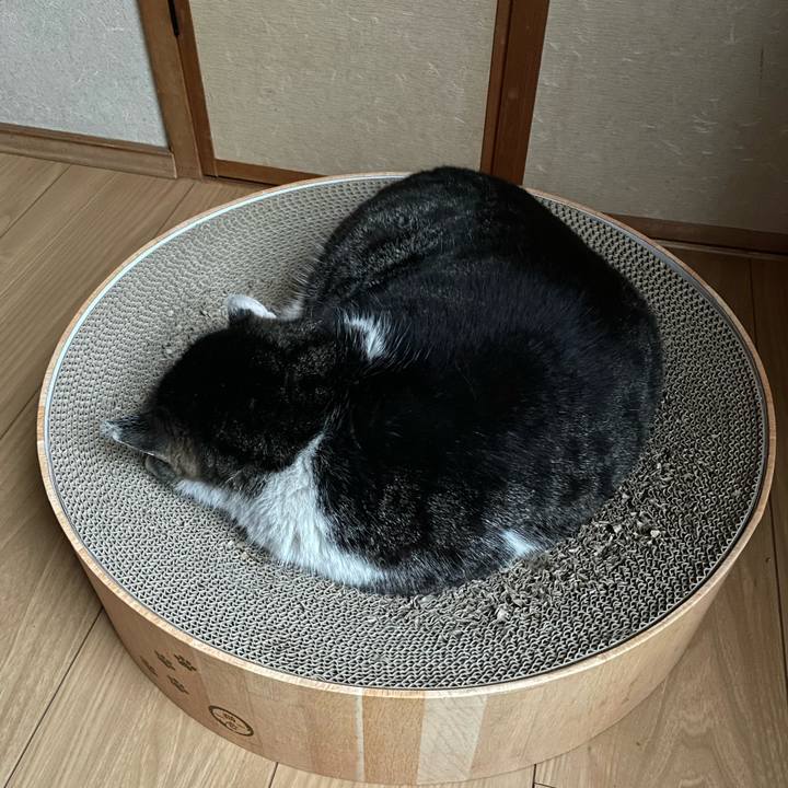 42c458b0 acd5 4384 a82b 3cc337f2deb4 1651225939978