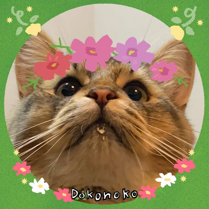 42c4786e 5737 4d87 bd05 efc5138dd566 1726800427085