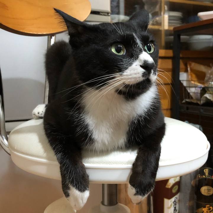 42c4a7fd e5e9 42bf b363 3c1c0ce81458 1566705349174