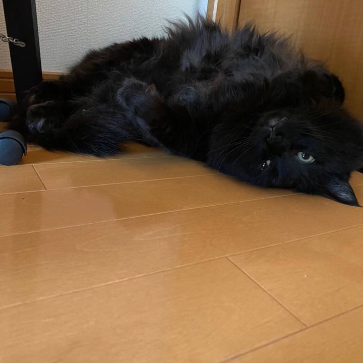 42c512e9 3d1c 4dd3 a942 88d7f6e58bec 1594044638952