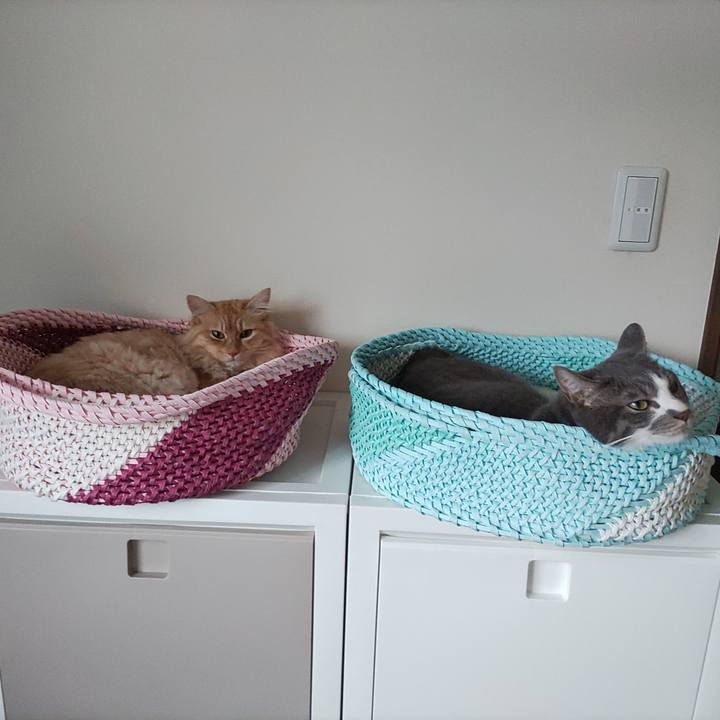 42c51bfb bdb9 4887 8783 92272bafbf68 1657099819142