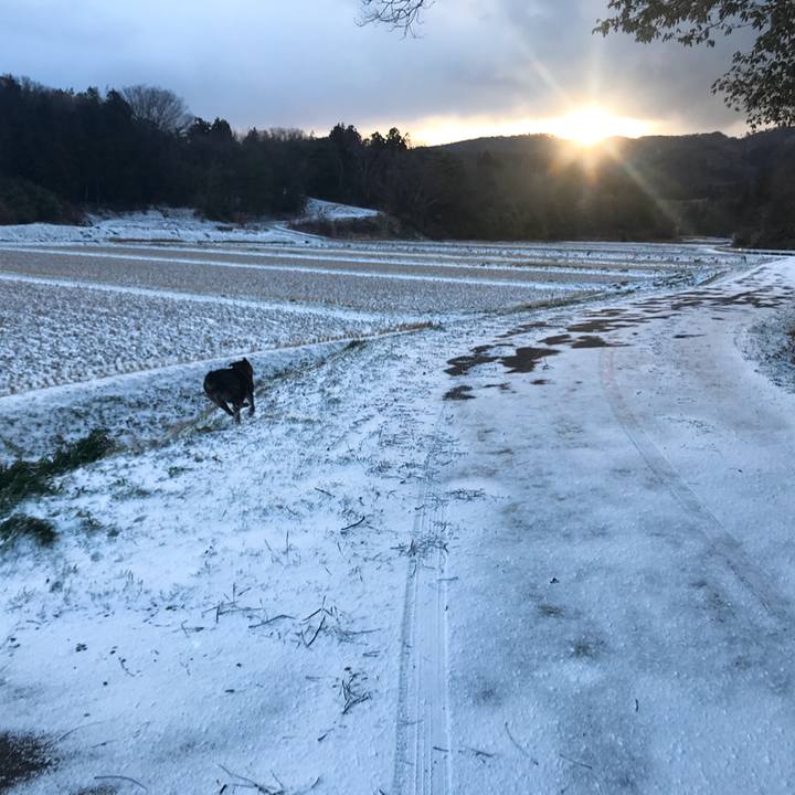 42c575c2 f31e 458c 8223 1afad82dfd6c 1580979408114