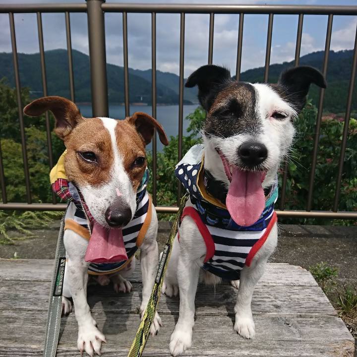 42c58c1e 8a02 4d65 b975 6394e06055a7 1537762166636