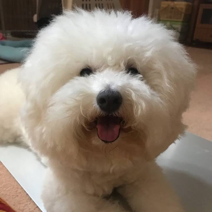 42c5ae51 146d 4617 b8c9 6a0a09083302 1597459111524