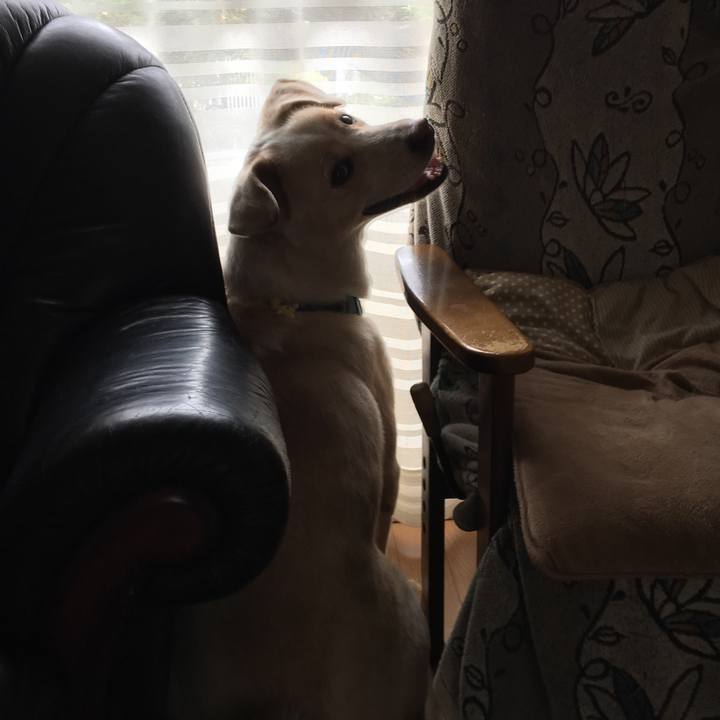 42c5e473 be55 42c5 bac7 aa42b70305b4 1531007148094