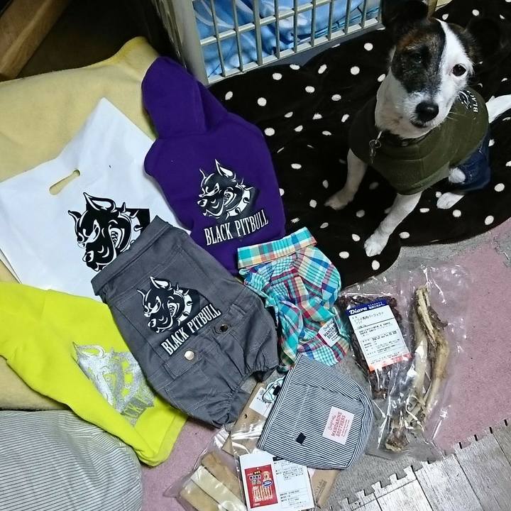 42c5f86c dc4b 4fe3 82be 3183f8201c20 1515239284040