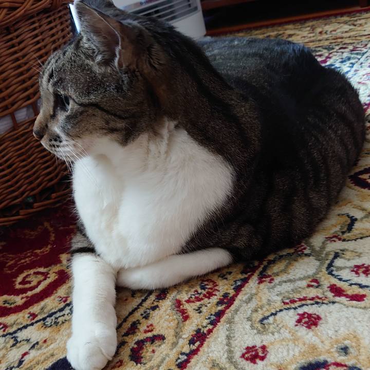 42c61c13 fda0 4a47 9355 c32a6b4168ee 1701654718809