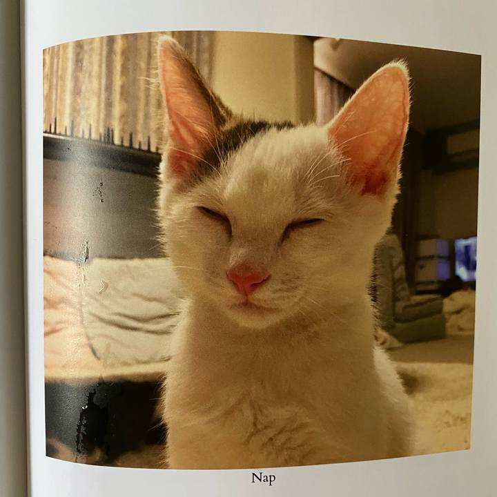 42c66c19 c483 416b 898f 182fa39d4259 1664232013162