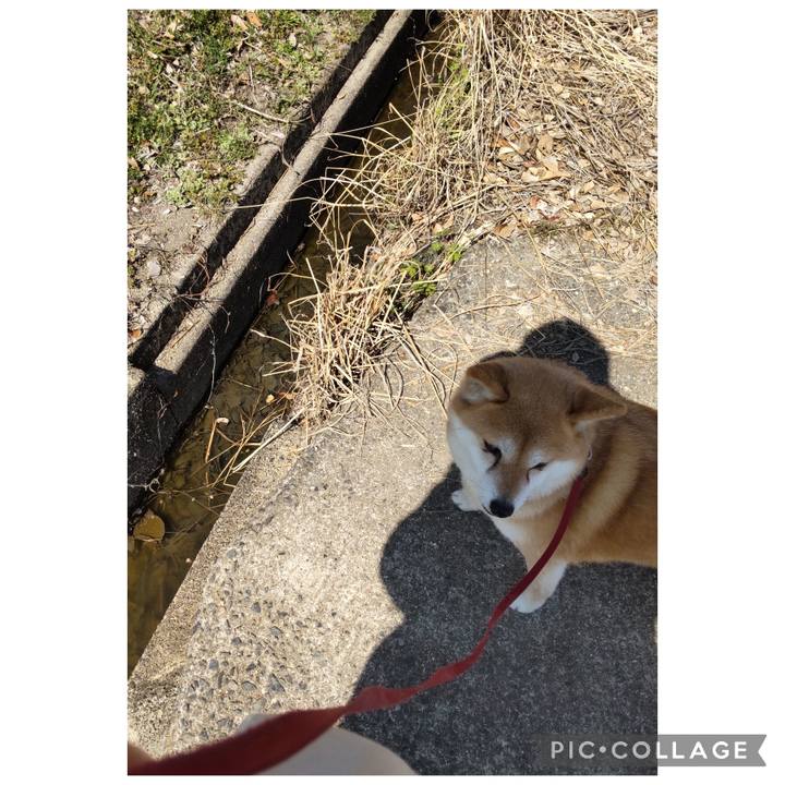 42c6767d 9822 4924 9597 0f45598863bc 1773637509560