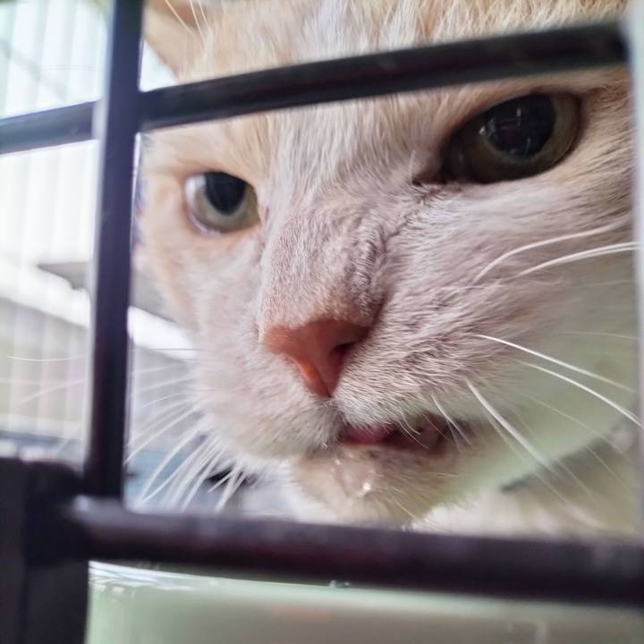 42c69ecb 59e4 4a04 b0a9 50c78e3d743b 1709159333846