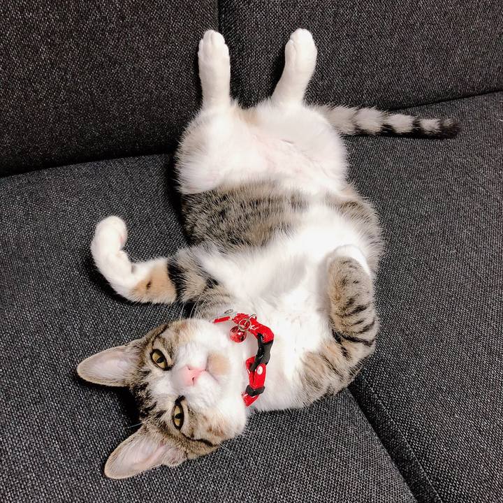 42c6bf65 4571 4b71 8b6b cd628e7dad04 1571320665593