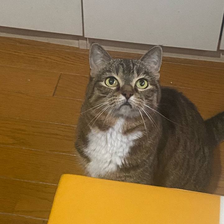 42c6f50b 90d9 4d58 8a38 2efab4e5fc2d 1723713553045