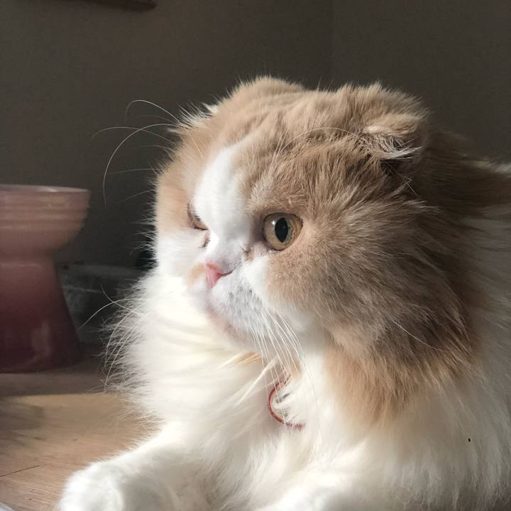 42c6fe85 b7ed 48fb 89ea 099196c335d6 1667079390337