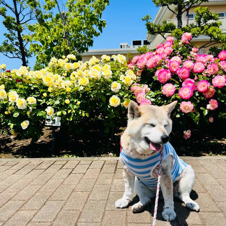 42c6ff3d c89d 4d4c 9499 500459c07a3d 1758605755729