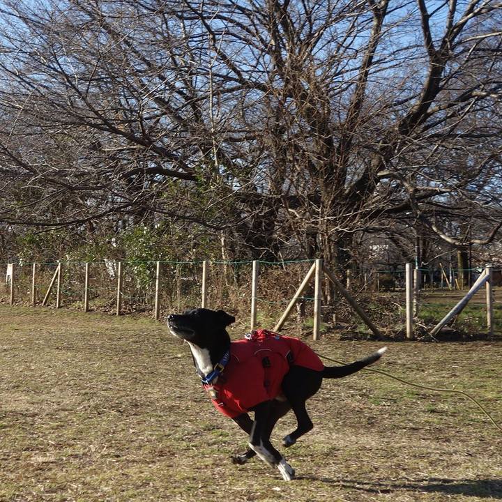 42c7071d 6761 4c74 9f36 738eddfc5fea 1675912938213