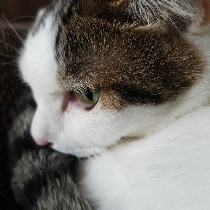 42c74b18 ec59 40e1 a014 2d39b264c21e 1595635703144