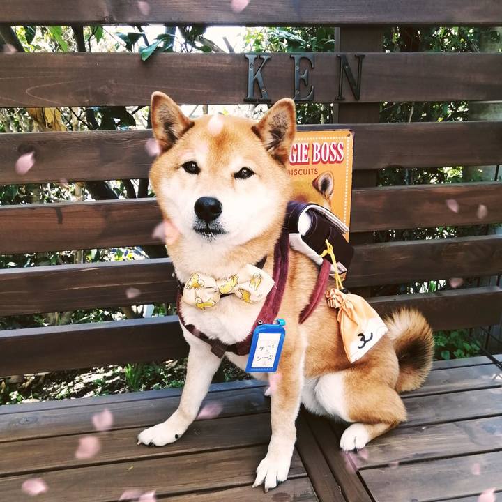 42c75ca0 f90f 4a3f 86f0 8baf777378f3 1617759070384