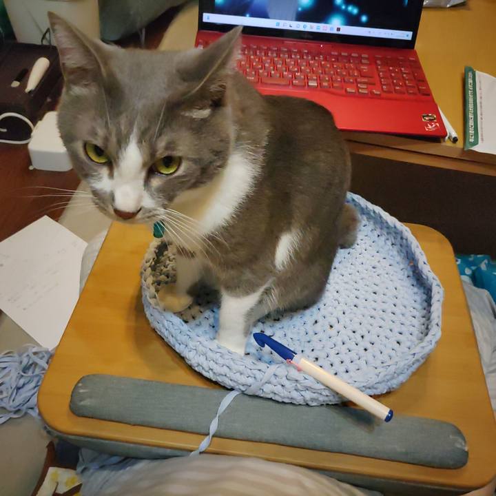 42c776fe 0496 4cb5 affe 5a86e9a4a5fa 1662387447732