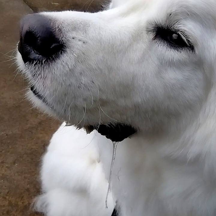 42c7bcba 304a 47d3 a37a c4c792e500e2 1679703584832