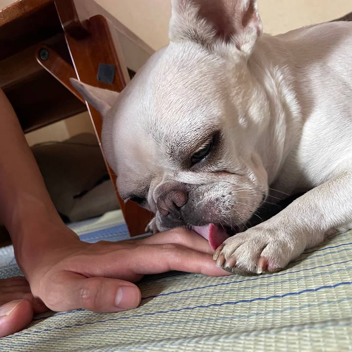 42c7e58e 5e32 48fe b6de 98bef9e09eed 1753657332064